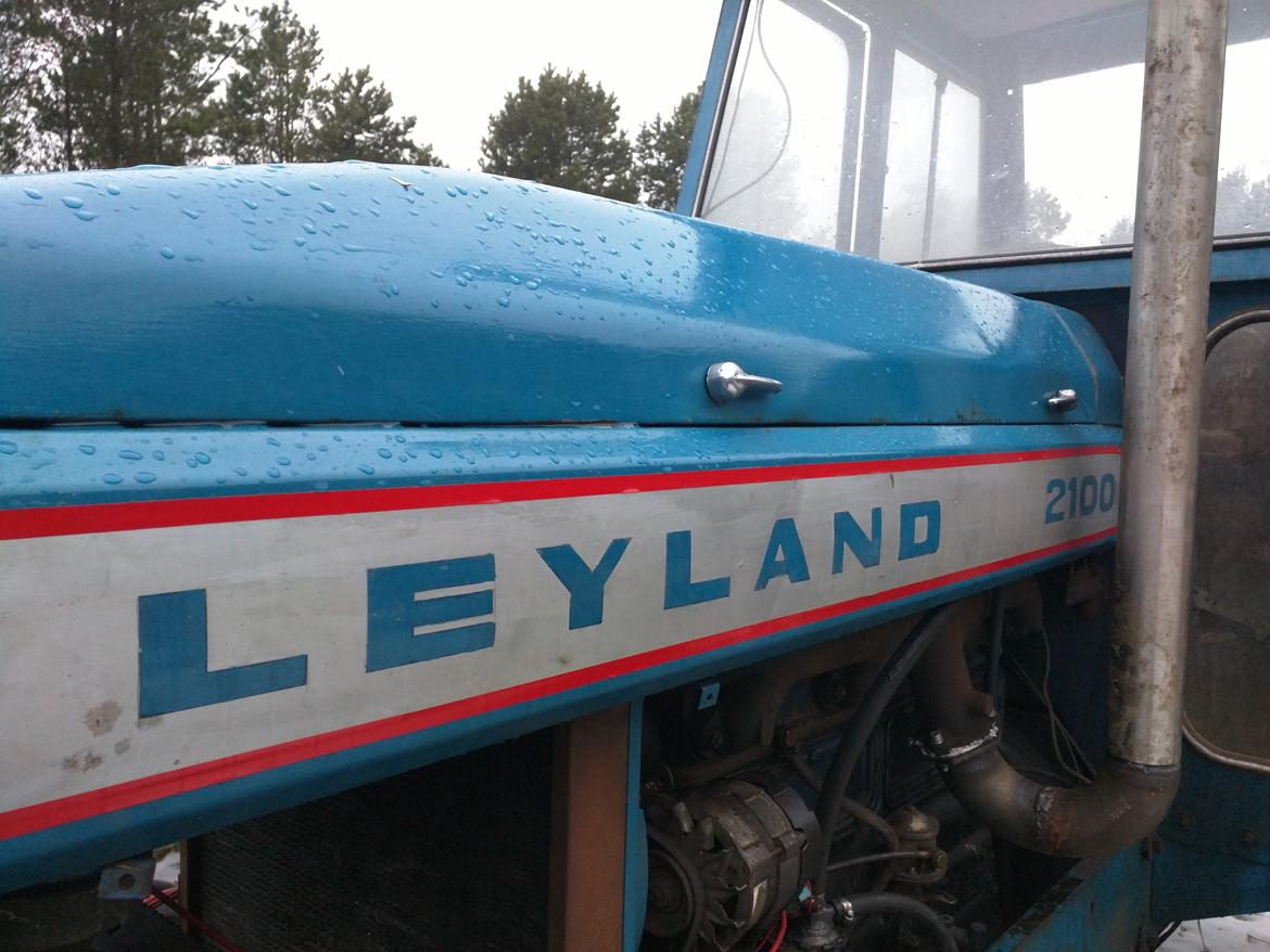 Leyland 2100 billede 3