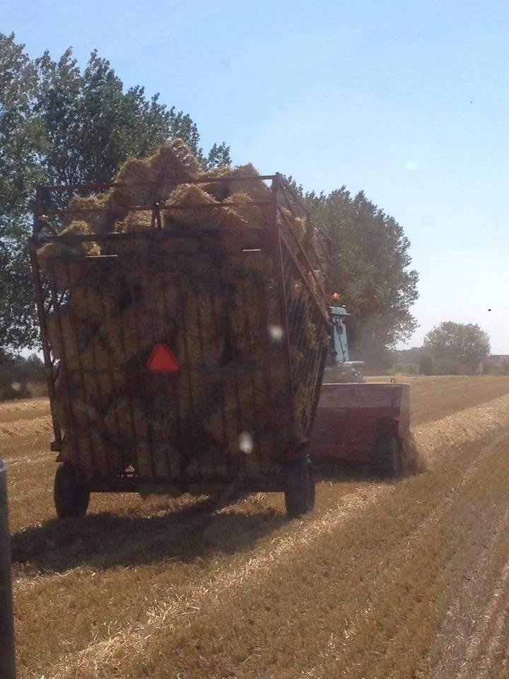 John Deere 3040 - ude og presse 1000 baller halm billede 22