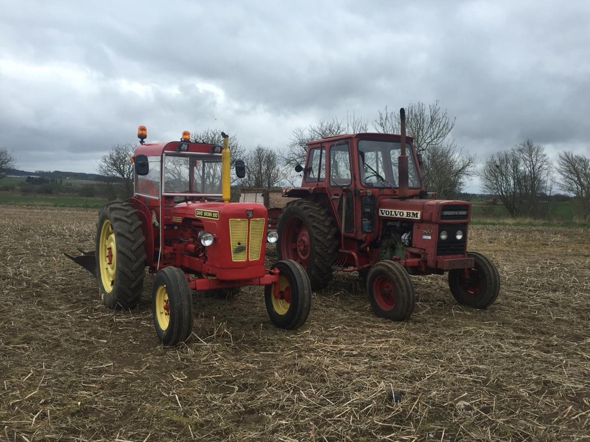 David Brown 990 billede 50