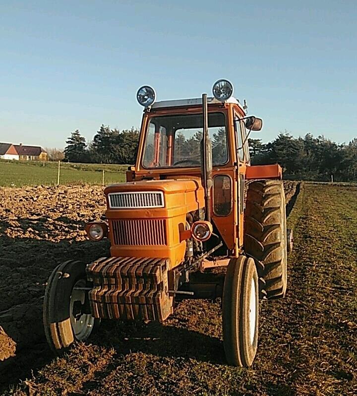 Fiat 800 billede 1