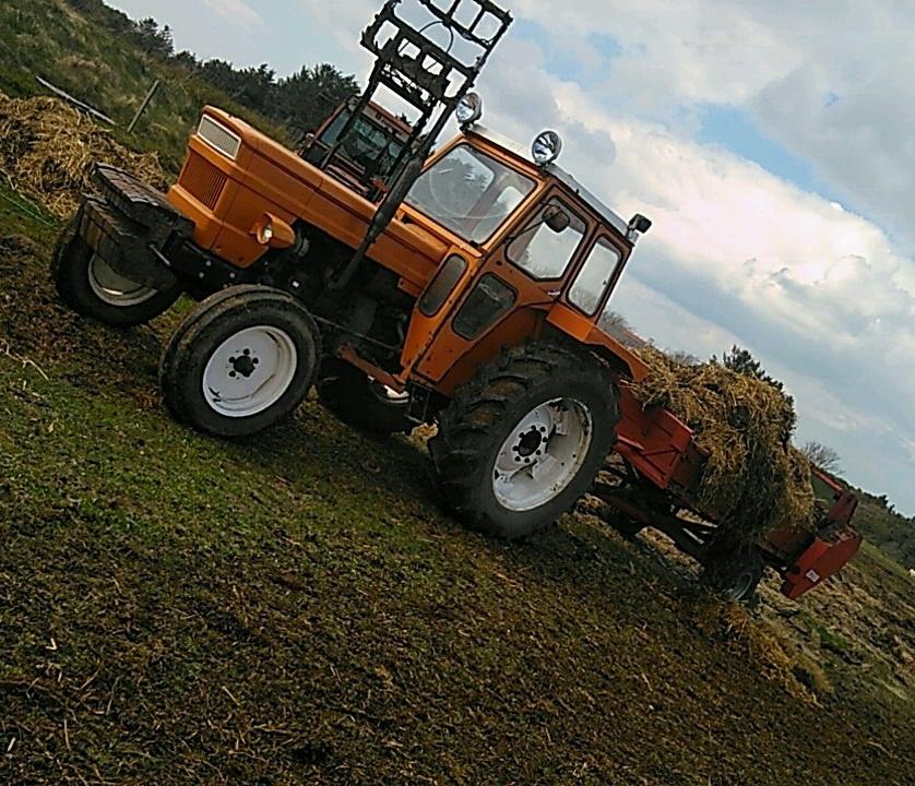 Fiat 800 billede 4