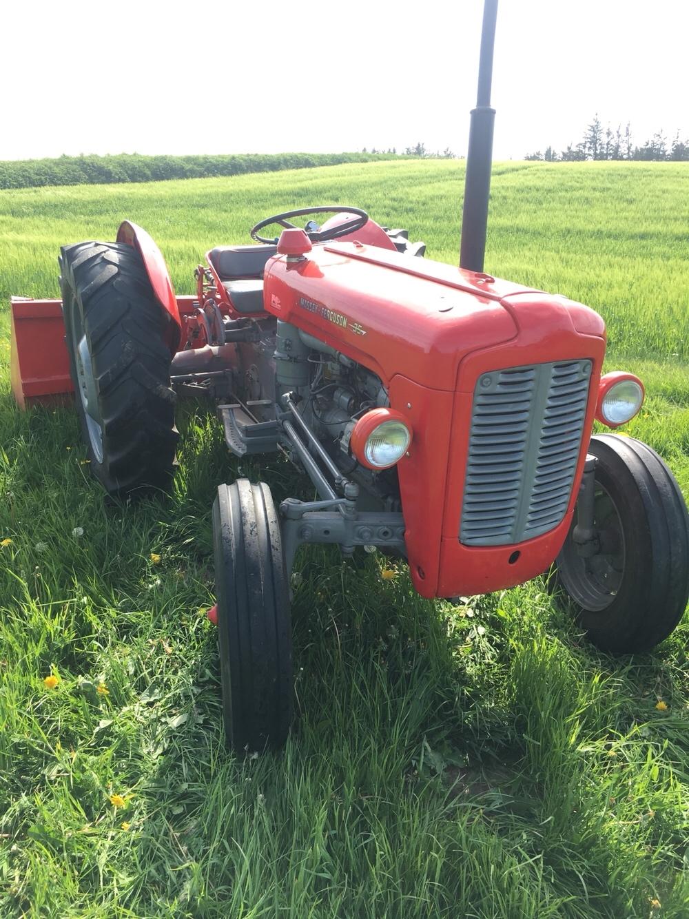 Massey Ferguson 35 diesel - Malet i 2010 billede 2