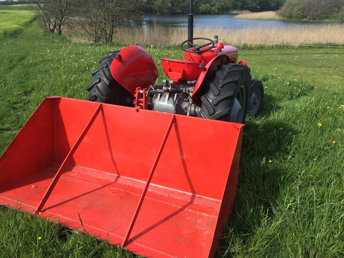 Massey Ferguson 35 diesel - Med dens nærmest faste bagskovl bagpå billede 5