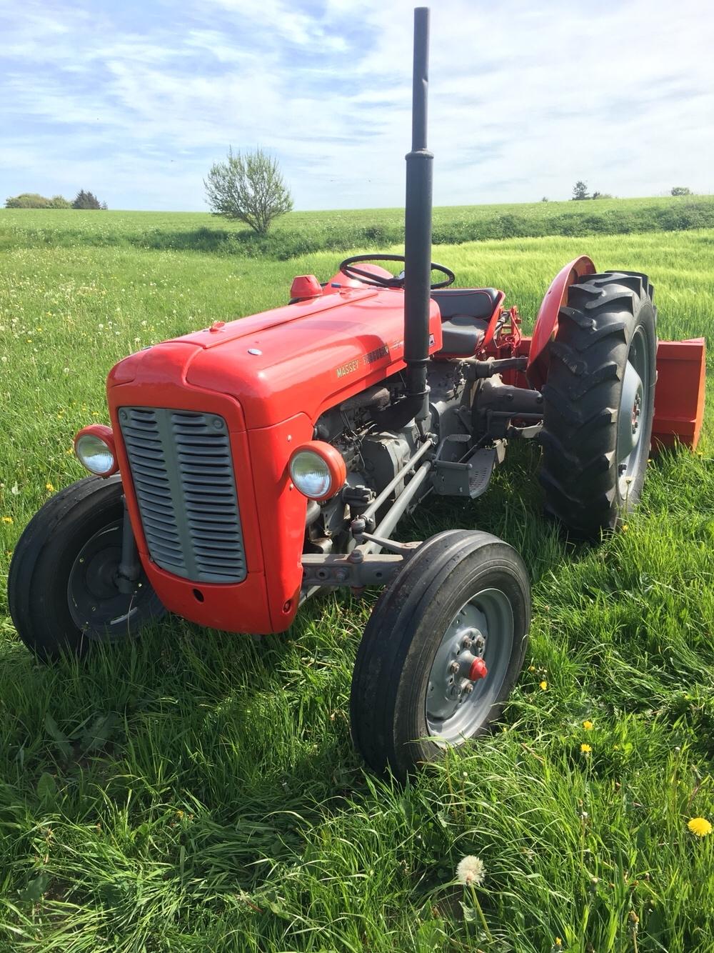 Massey Ferguson 35 diesel - I al sin pragt billede 6