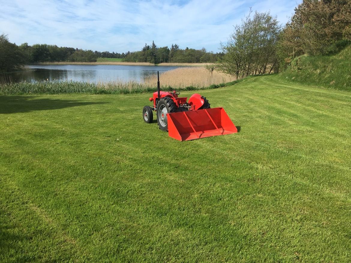 Massey Ferguson 35 diesel - Foran søen med bagskovl jeg selv har lavet billede 7