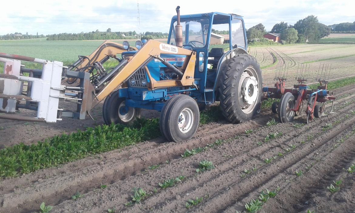 Ford 5000 Y - Radrensning 40 år senere end det andet billede, stadig samme renser.... står tiden stille herude ?? billede 1