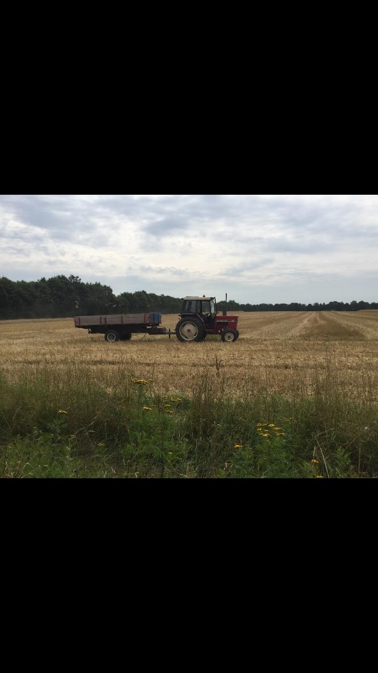 International Harvester 485 - Med korn vognen billede 4