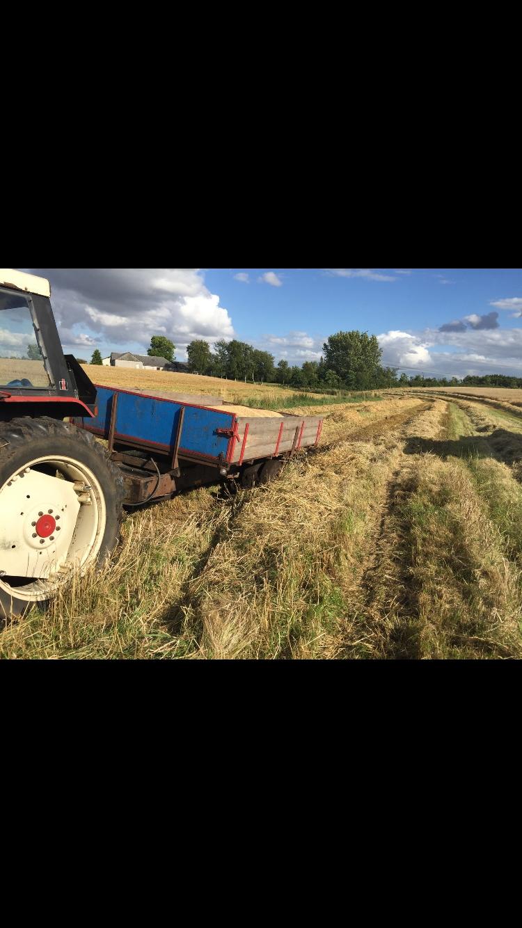 International Harvester 485 - UPS billede 6