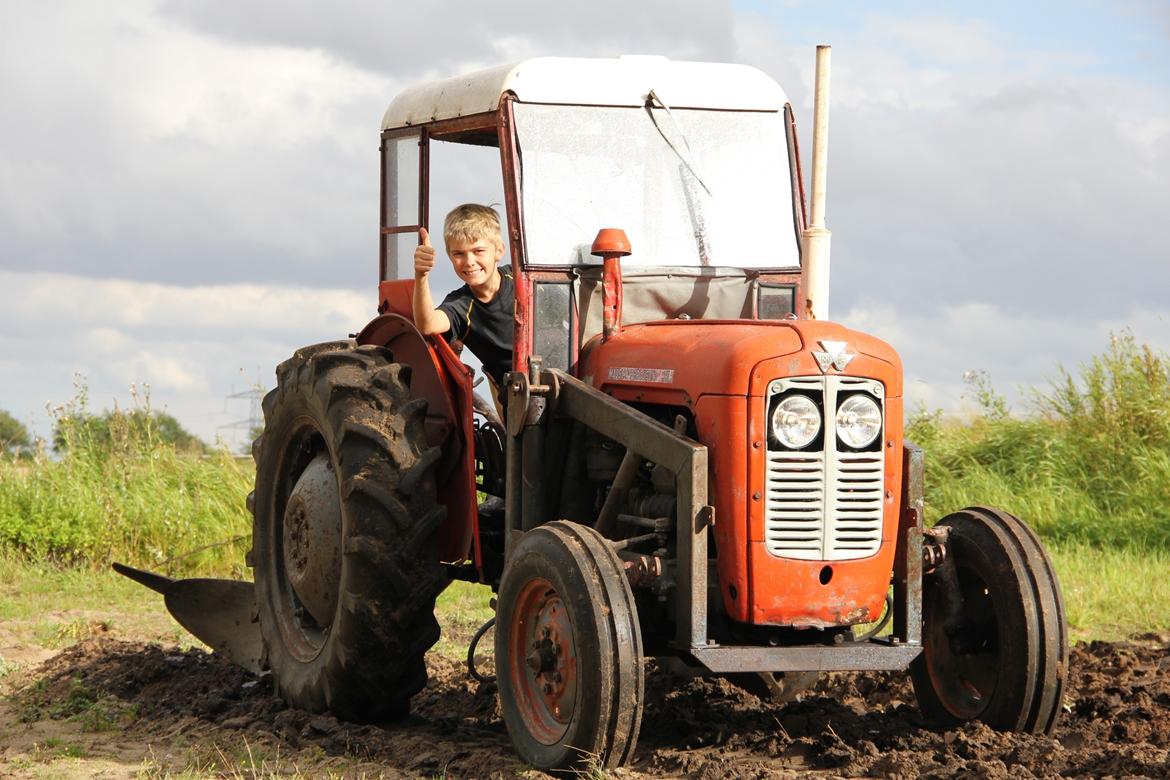 Massey Ferguson MF35 billede 1