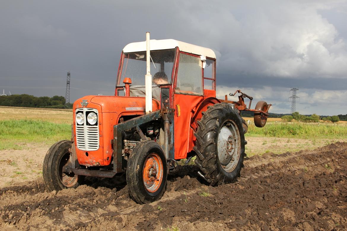 Massey Ferguson MF35 billede 2