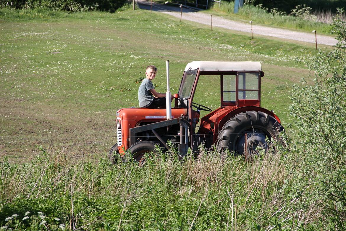 Massey Ferguson MF35 billede 3