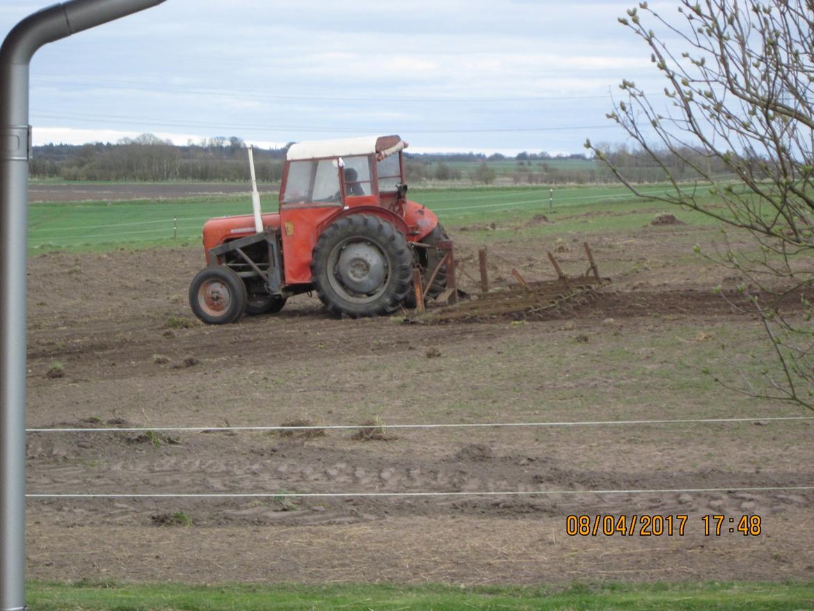 Massey Ferguson MF35 billede 4