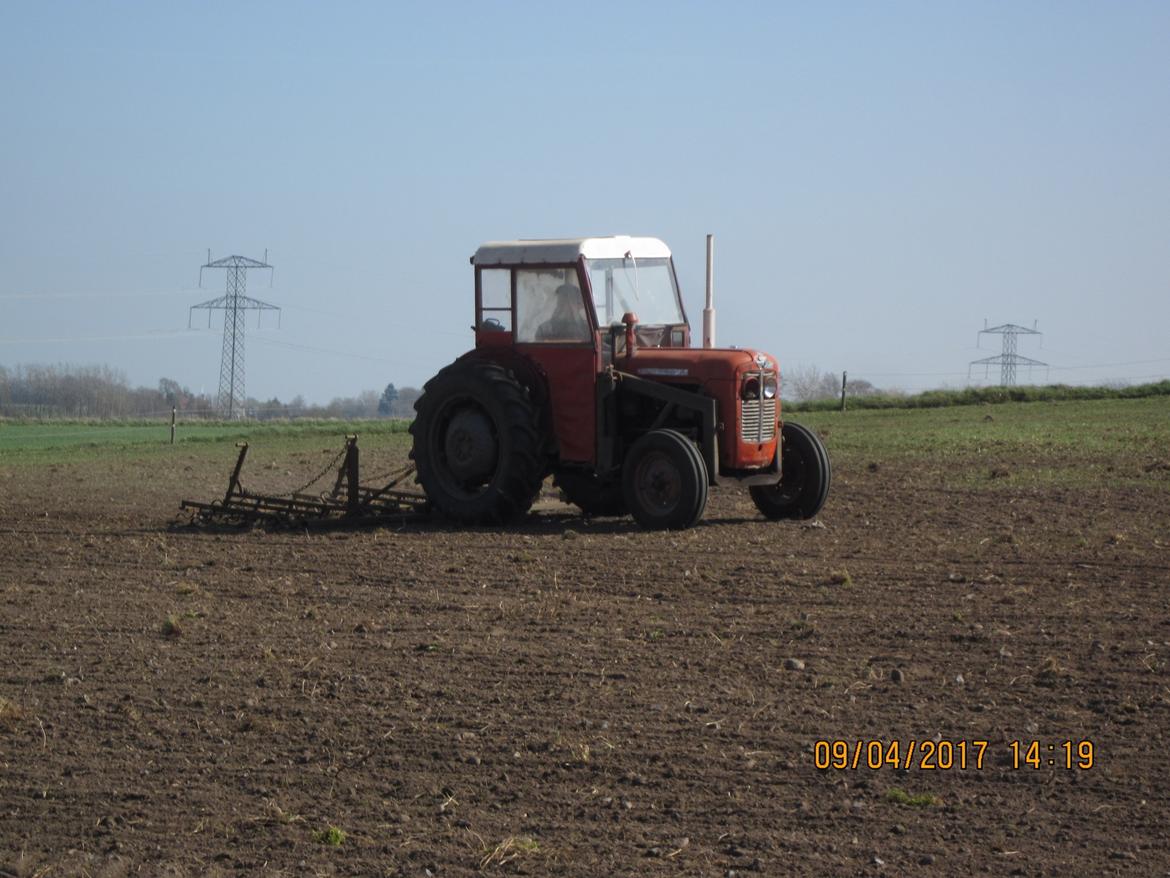 Massey Ferguson MF35 billede 5