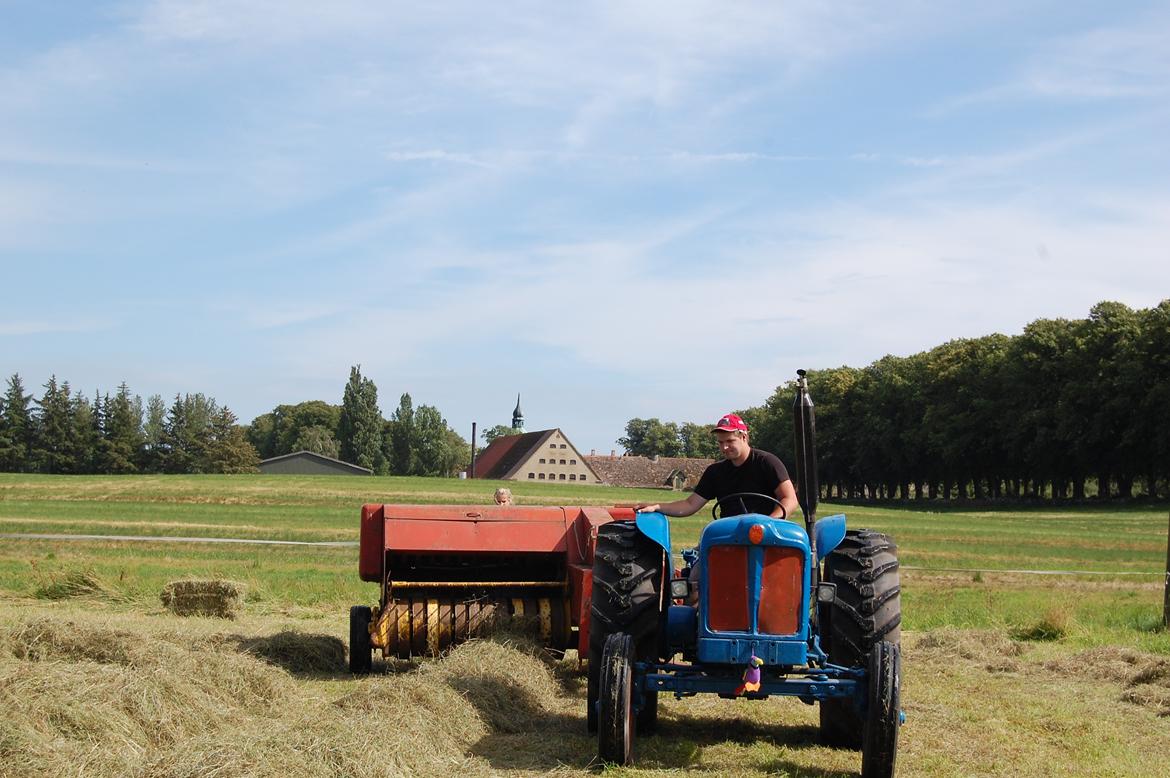 Fordson Fordson major diesel  E1ADDN billede 8