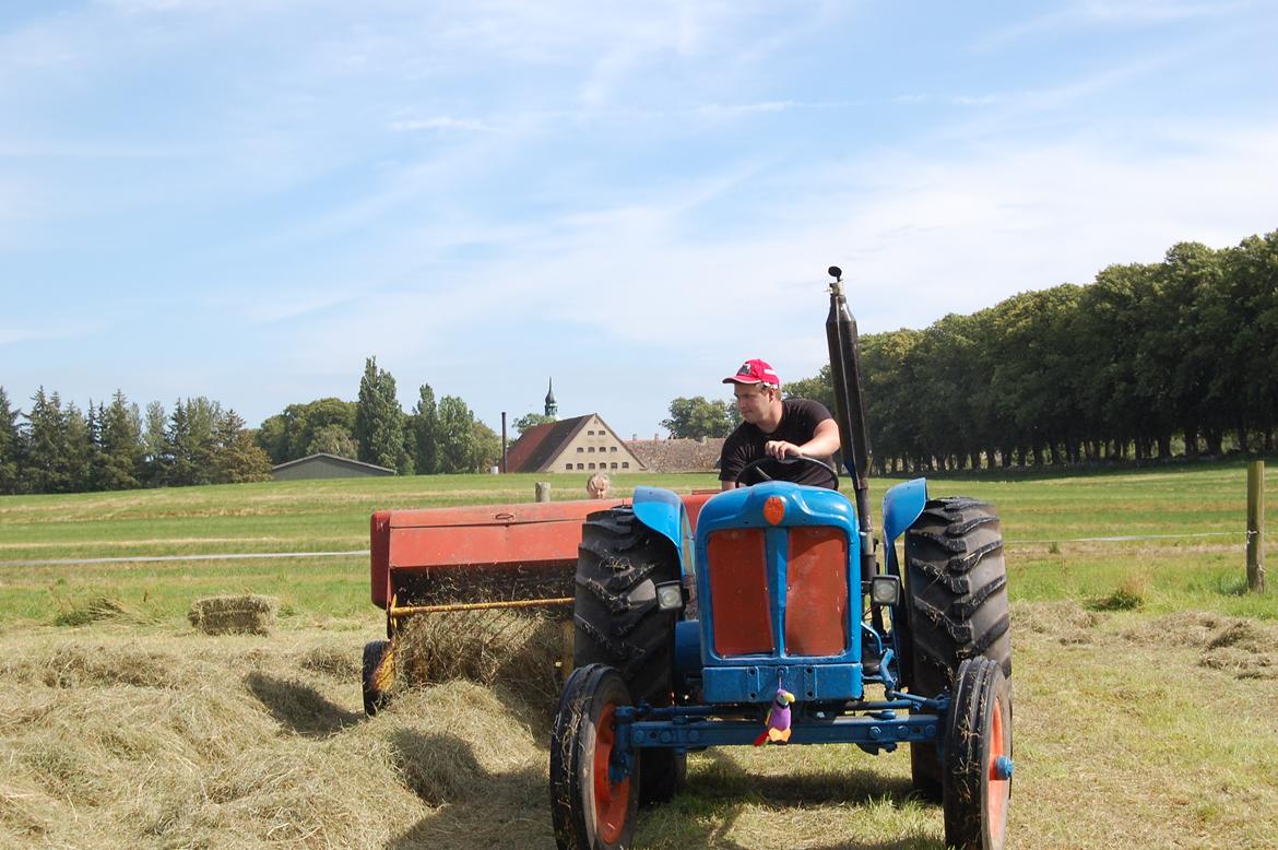 Fordson Fordson major diesel  E1ADDN billede 9