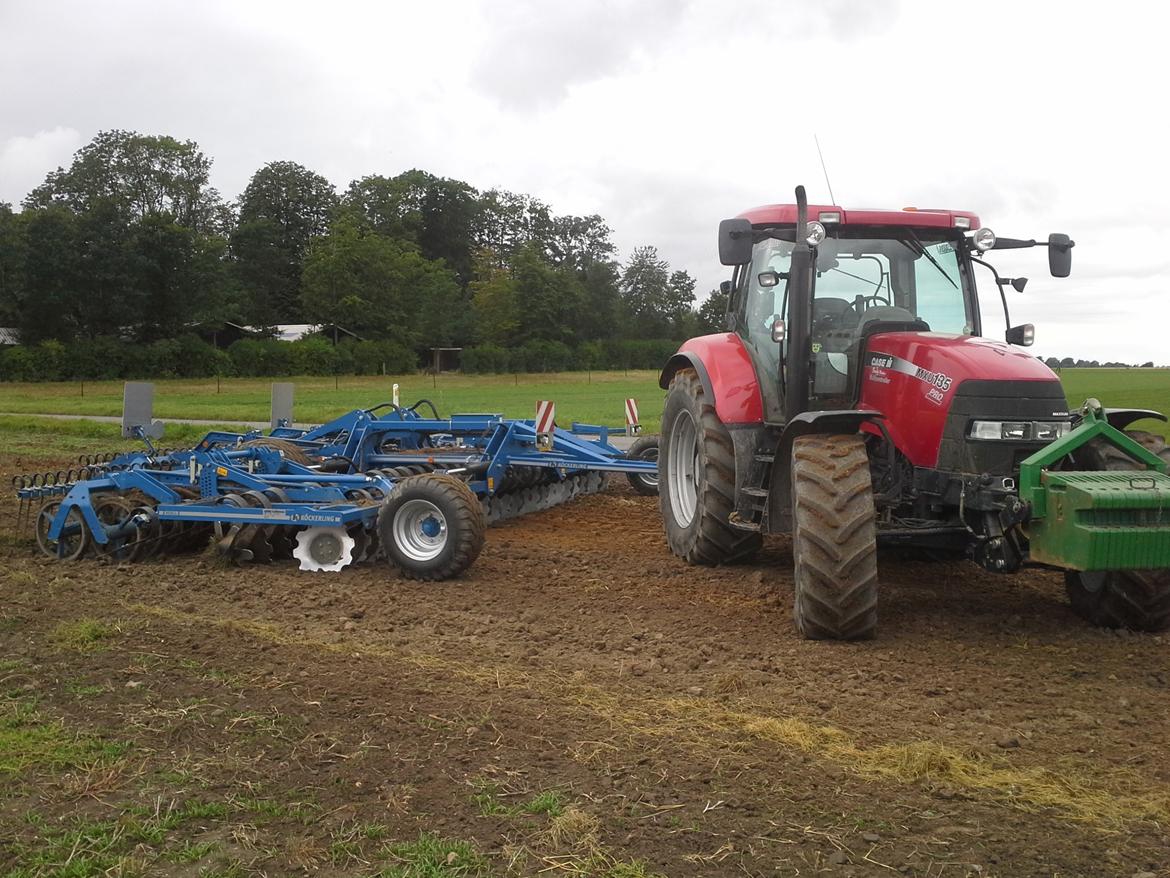 Case IH Maxxum MXU 135 Pro - Traktoren trak fint afsted med den seks meter discharve.... men det krævede at kraftudtaget var slået til så boosten var aktiv billede 29