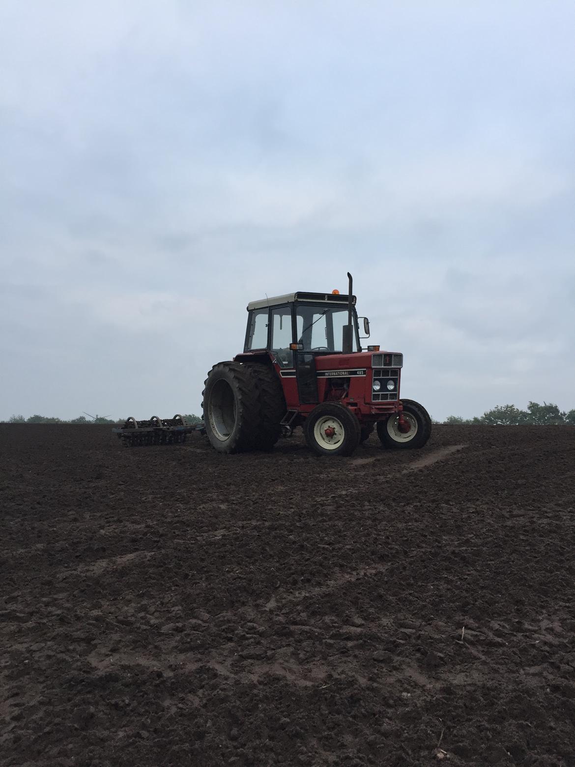 International Harvester 485 - Tromling 2017 billede 8