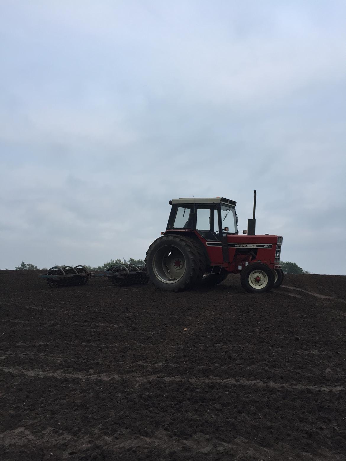 International Harvester 485 - Tromling 2017 billede 9