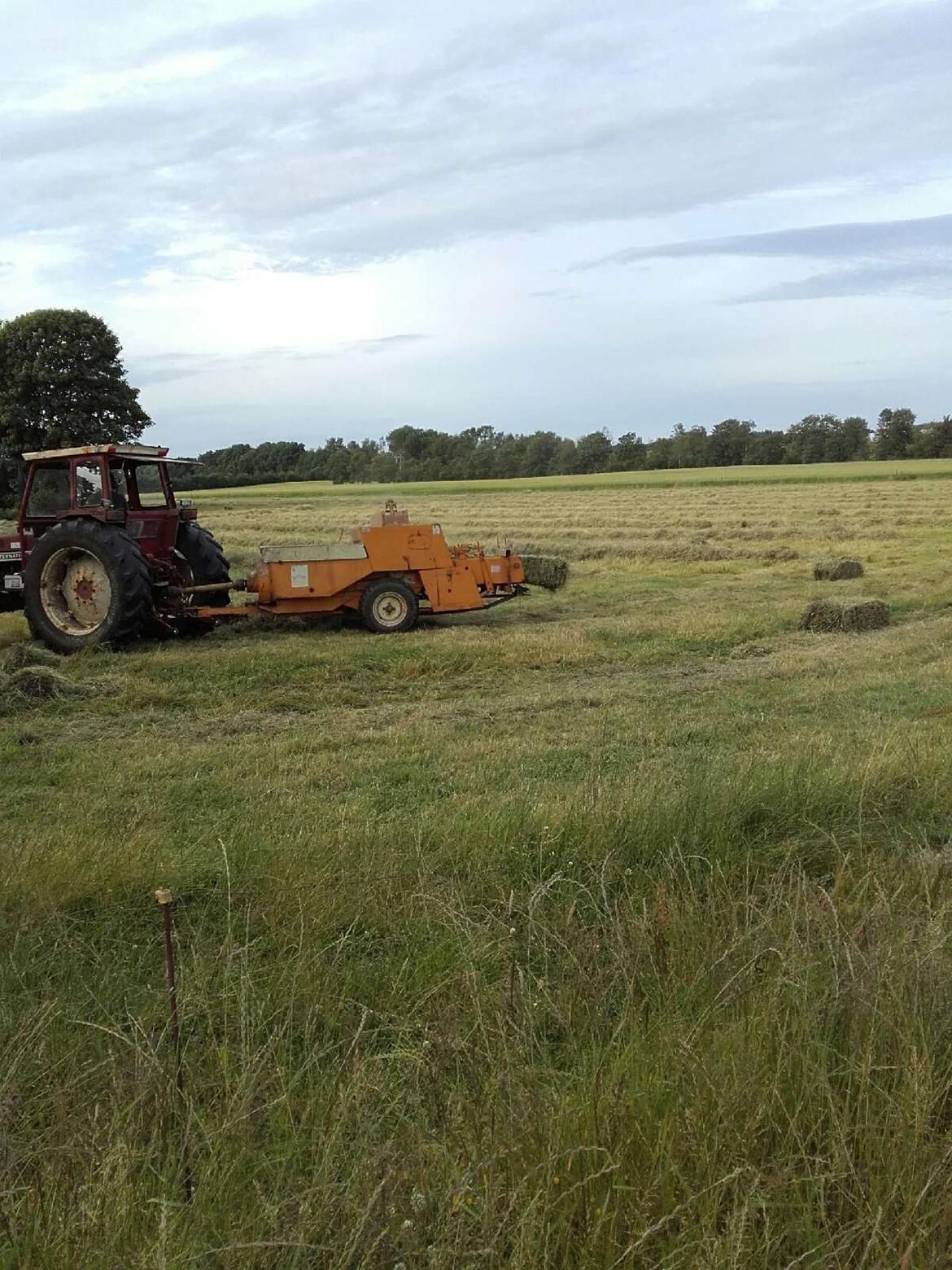 Case IH 824 billede 22