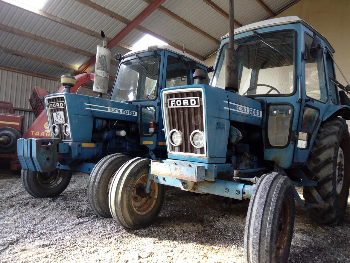 Ford 4600 billede 2