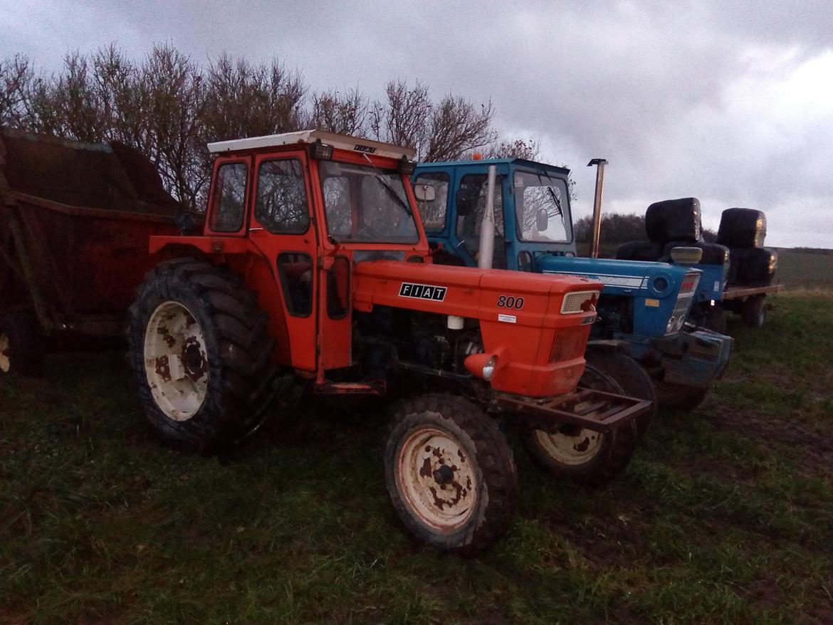 Fiat 800  billede 1