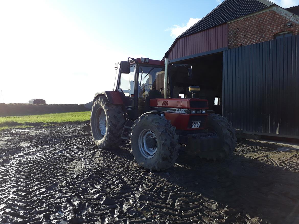 Case IH 956 XLA billede 1