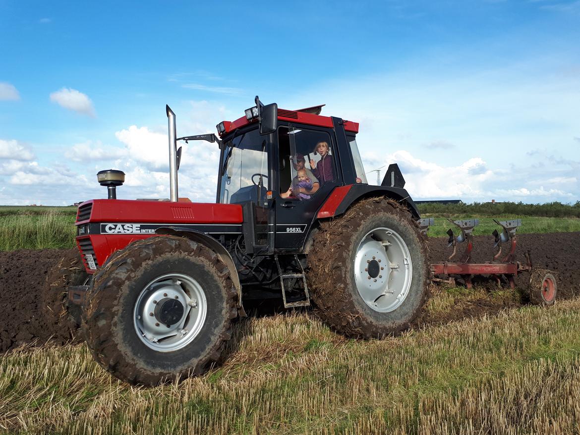 Case IH 956 XLA billede 7