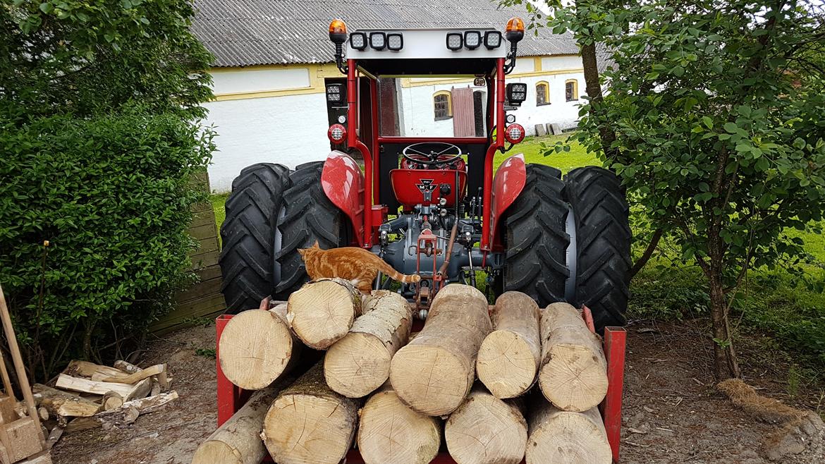 Massey Ferguson 135 billede 28