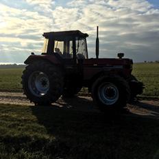 Case IH 1455XL