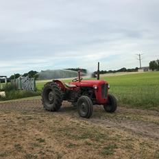 Massey Ferguson 35