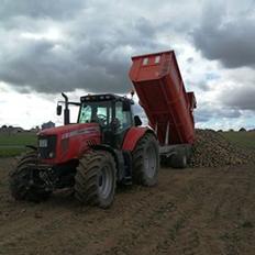 Massey Ferguson 7495