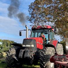 Case IH Mx135