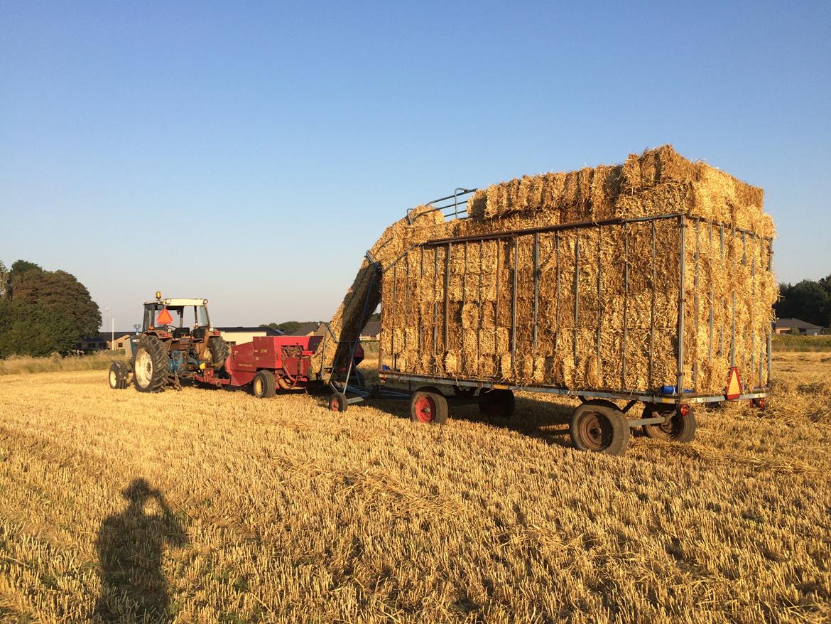 Ford 5000 Y billede 13
