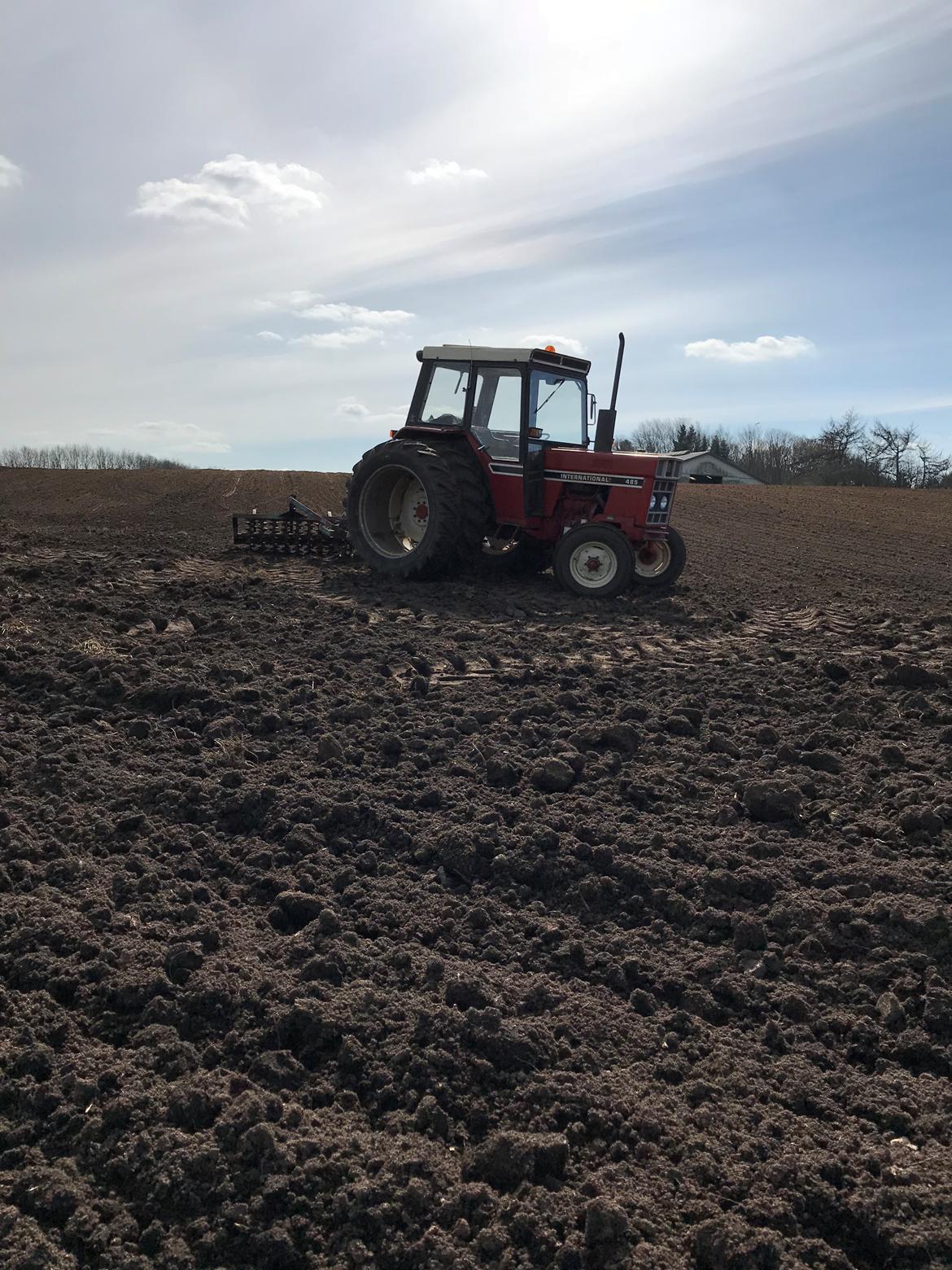 International Harvester 485 - Tromling af byg den første april 2018 billede 35