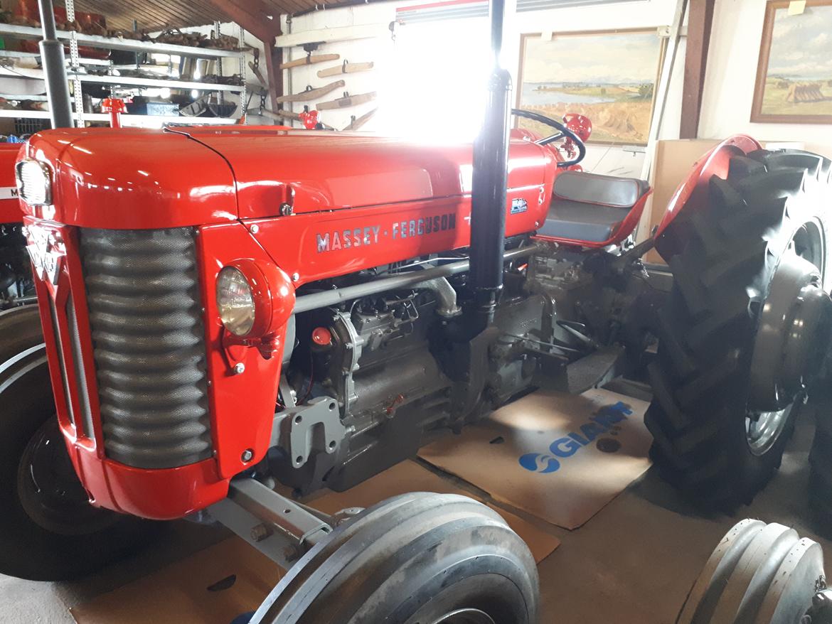 Massey Ferguson 65 MK2 billede 6