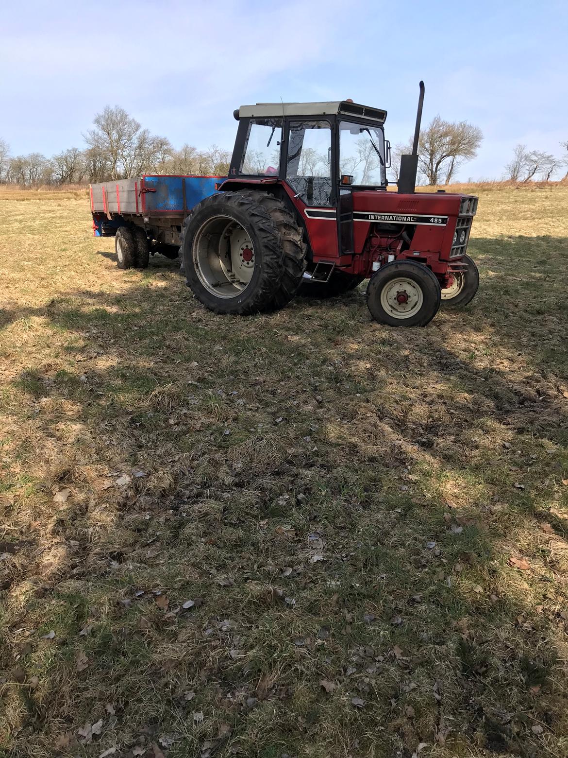 International Harvester 485 - Var i gang med at fælde træer billede 39