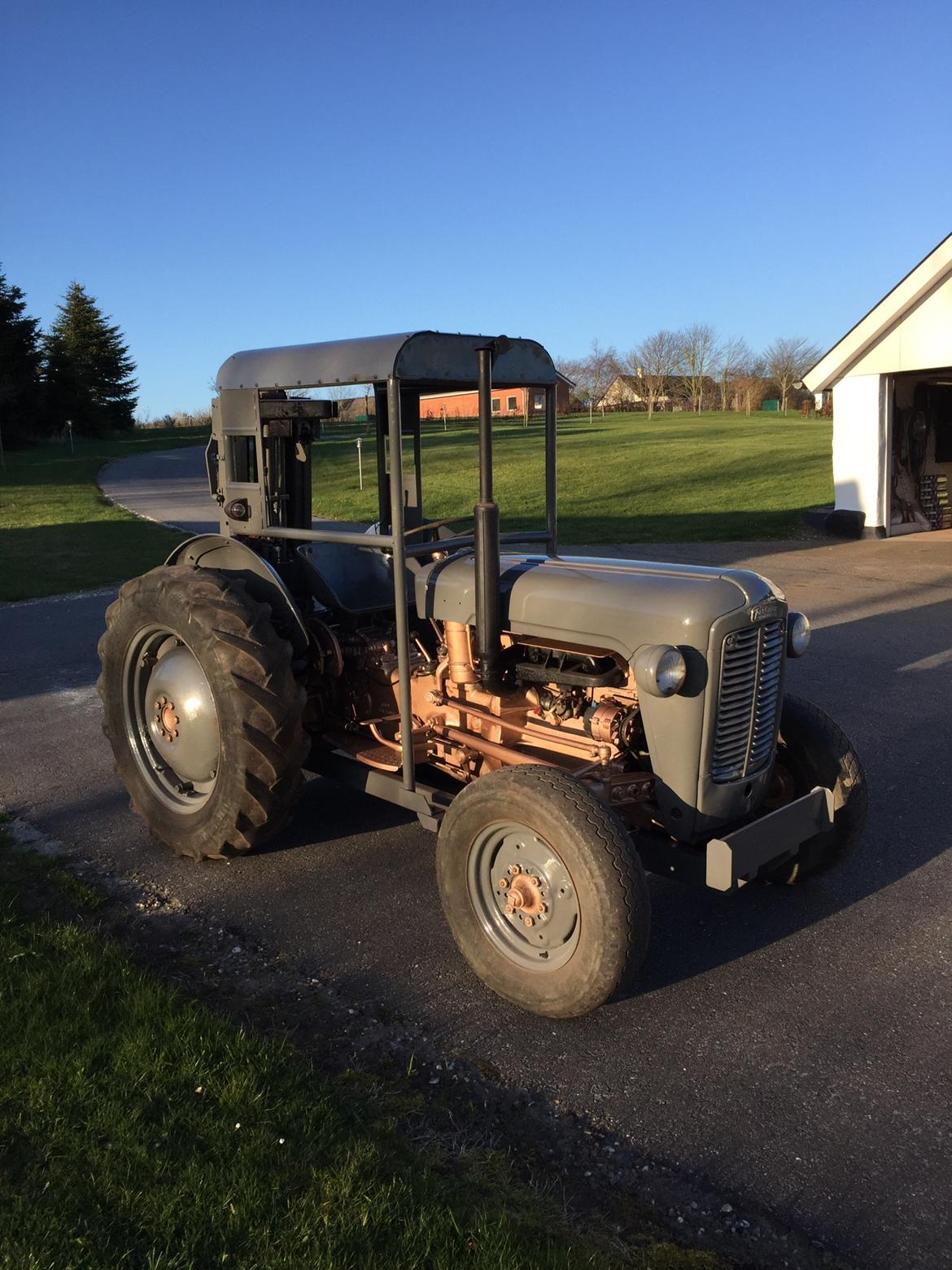 Massey Ferguson FE 35, Guldfugl billede 20