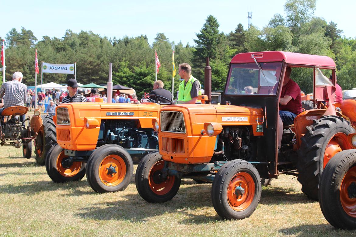 Fiat 315 billede 2