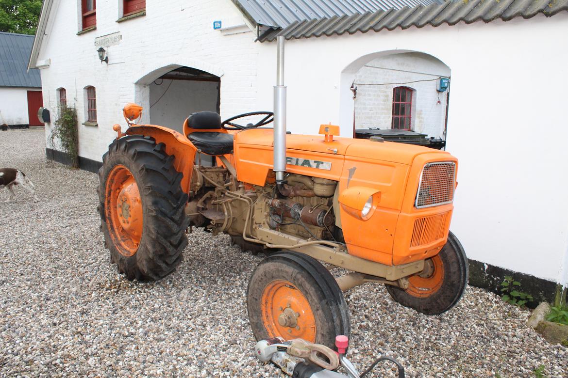 Fiat 315 - Så har den været til plovdag og fået lov til at arbe ;-) billede 4