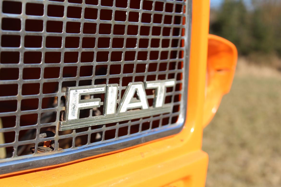 Fiat 315 billede 11