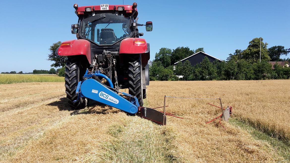 Case IH Maxxum MXU 135 Pro - Skårlægning med BCS og hjul vendt om billede 30