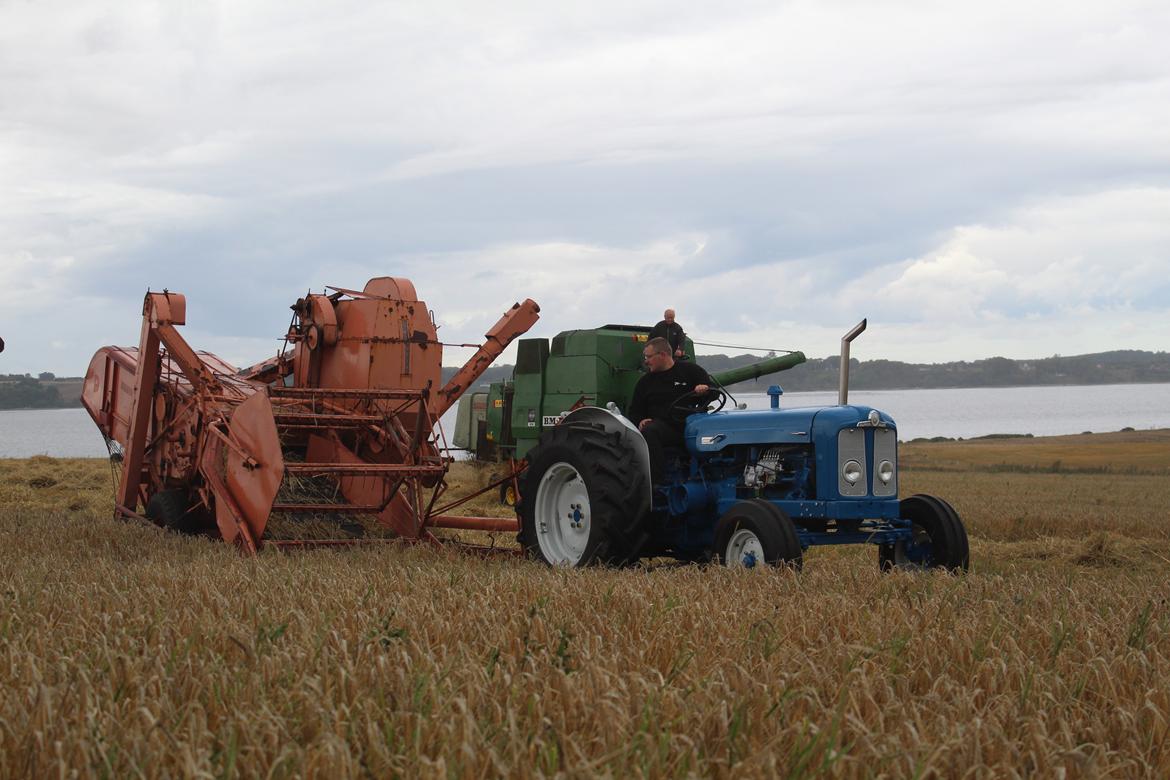 Fordson Super Major - her høstes der med en (lånt) bugseret dronningborg. billede 6