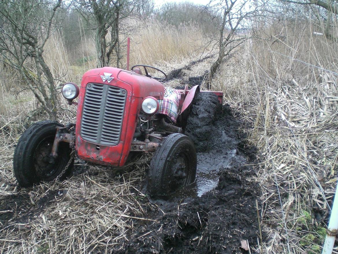 Massey Ferguson 35 Super Model billede 13