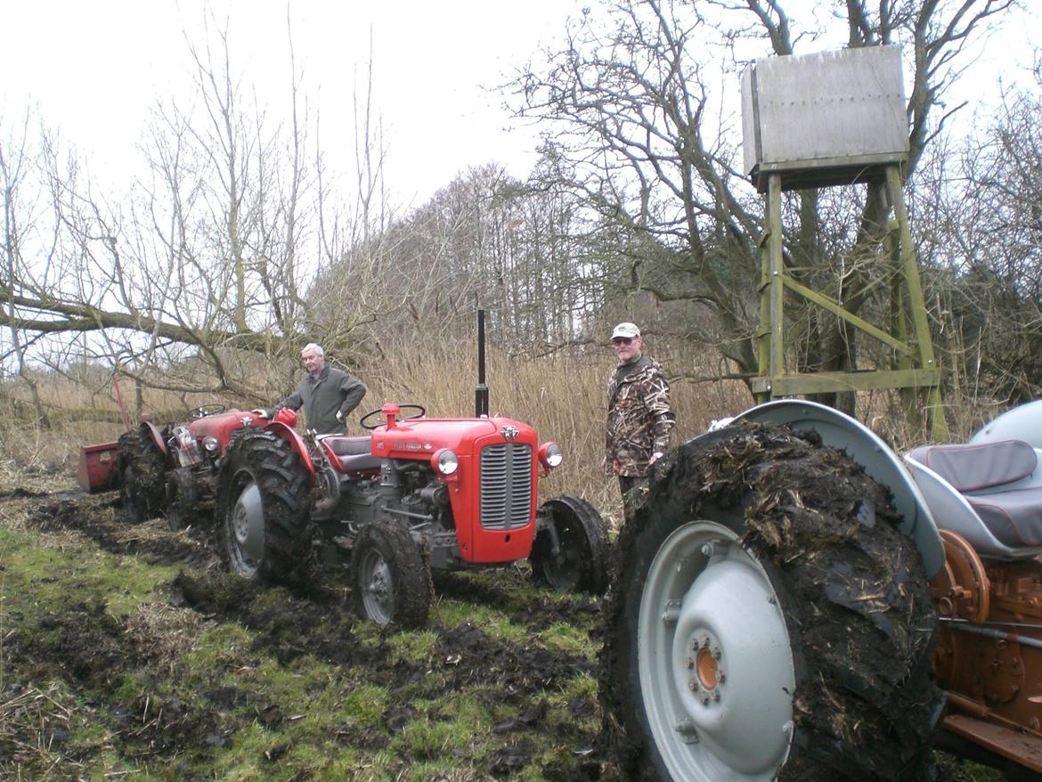 Massey Ferguson 35 Super Model billede 14