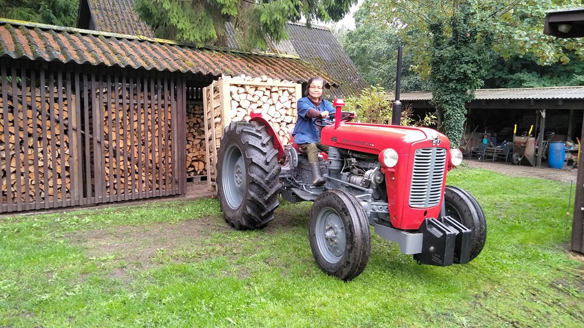 Massey Ferguson MF35X billede 8