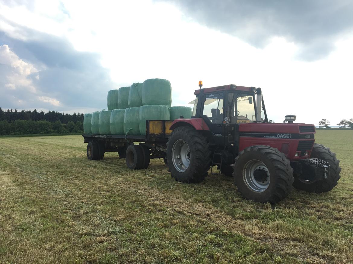 Case IH 1455XL billede 15