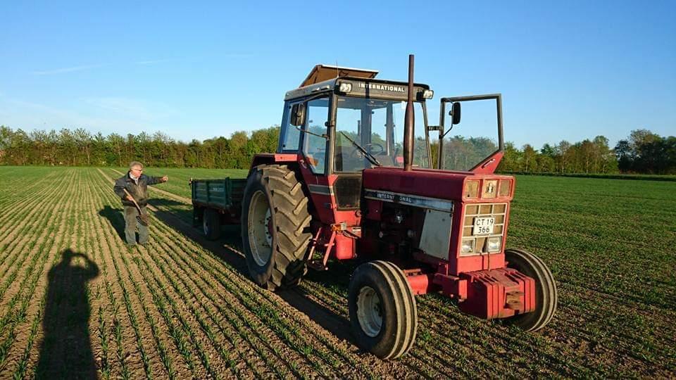 International Harvester 1055 billede 6