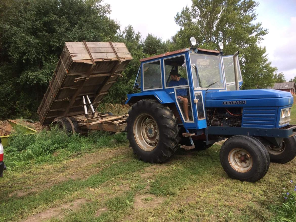 Leyland 2100 billede 8