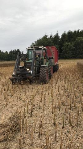 Fendt 308  billede 3