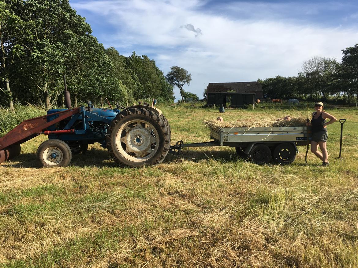 Fordson Super Major billede 2